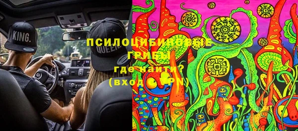 гашик Алзамай