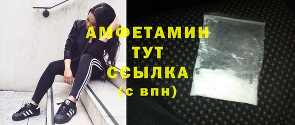 гашик Алзамай
