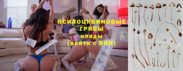 гашик Алзамай